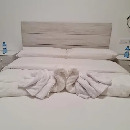 El Olivar La Vega De *